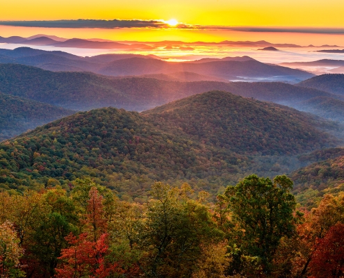 Fine Art Nature Photography | Brady Kesner Photography