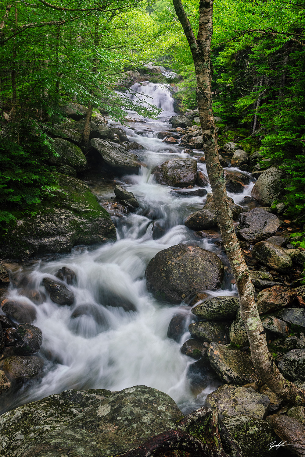 Pemigewasset River White Mountains New Hampshire